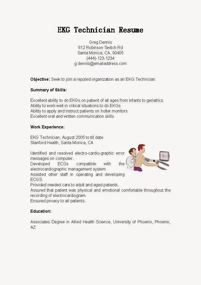 Computer technology resume format